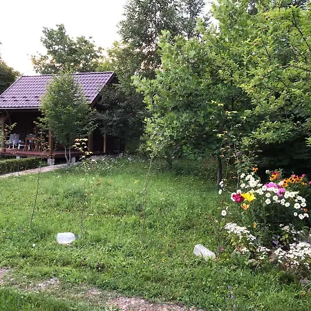 галіція *